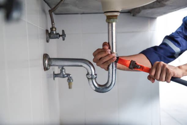 Best Residential Plumbing Services  in Polo, IL